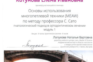 kotunova-ei-sertifikat-7-8-02-2020